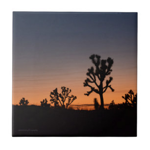 Sunset Joshua Trees Ceramic Tile
