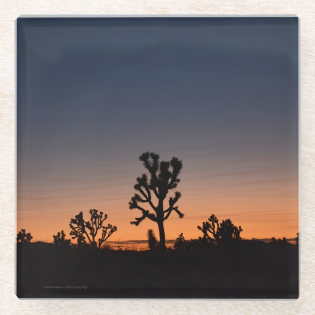 Sunset Joshua Trees Glass Coaster (Front)