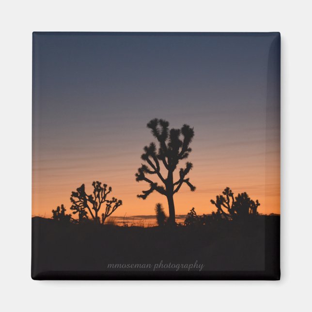 Sunset Joshua Trees Magnet (Front)