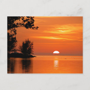 Sunset, Key West, Florida Postcard