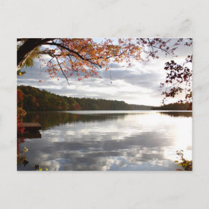 Sunset Lake, Holly Springs NC Postcard