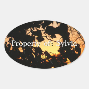 Sunset Leaves Sticker