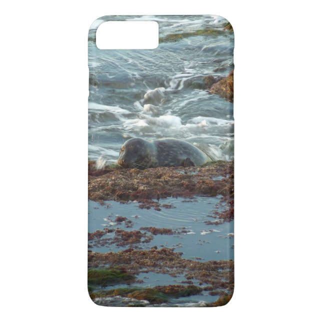Sunset Lit Harbour Seal I at San Diego Case-Mate iPhone Case (Back)