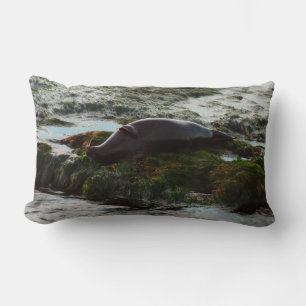 Sunset Lit Harbour Seal II at San Diego Lumbar Cushion