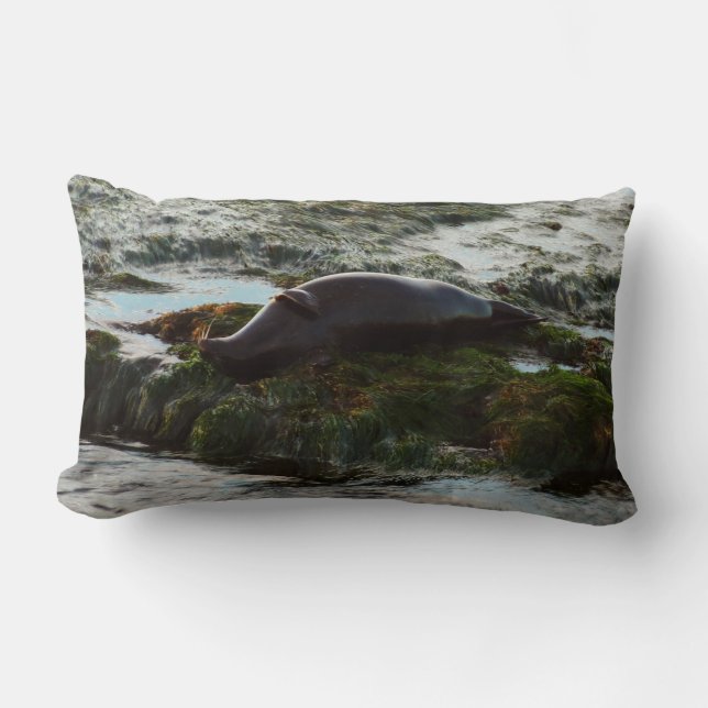 Sunset Lit Harbour Seal II at San Diego Lumbar Cushion (Front)