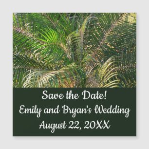 Sunset Lit Palm Fronds Tropical