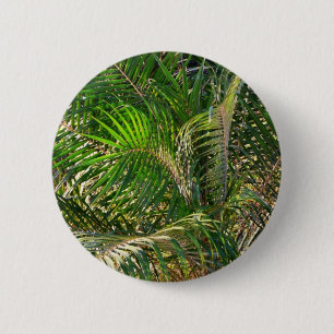 Sunset Lit Palm Fronds Tropical 6 Cm Round Badge