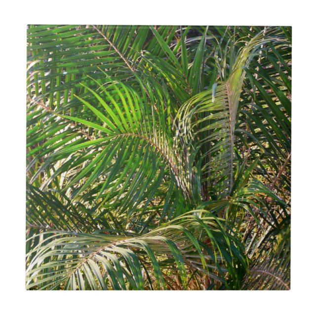 Sunset Lit Palm Fronds Tropical Ceramic Tile (Front)