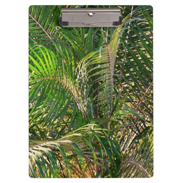 Sunset Lit Palm Fronds Tropical Clipboard (Front)
