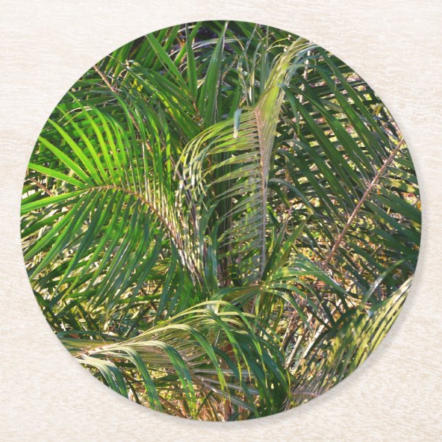 Sunset Lit Palm Fronds Tropical Round Paper Coaster (Front)