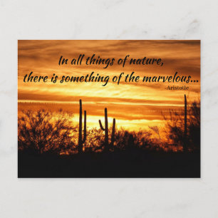 Sunset Marvels  Postcard