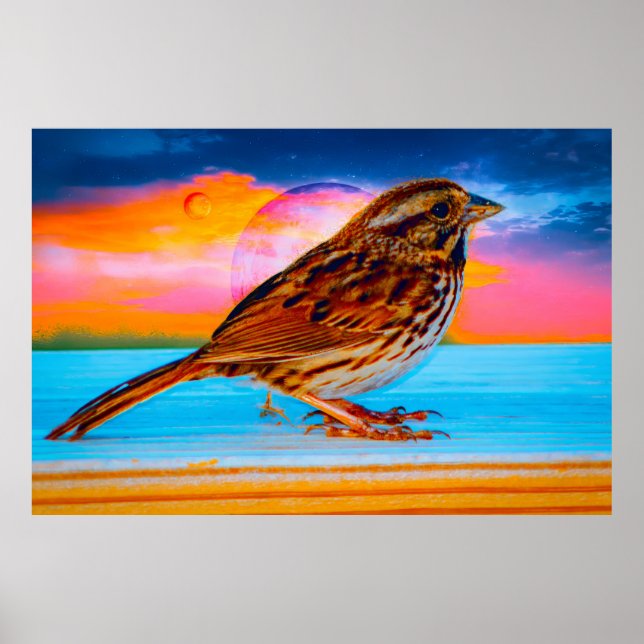 Sunset Melody Poster (Front)