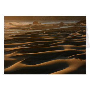 Sunset, Meyers Beach, Oregon, USA 2