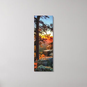 Sunset Mogollon Rim Arizona Pine Trees 12x36 Canvas Print