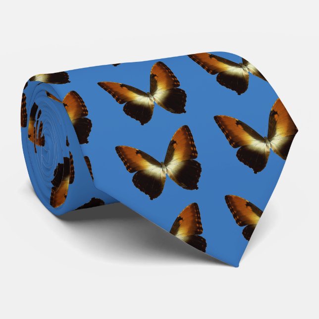 Sunset Morpho (Morpho hecuba) Tie (Rolled)