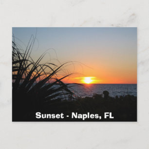 Sunset - Naples, FL Postcard