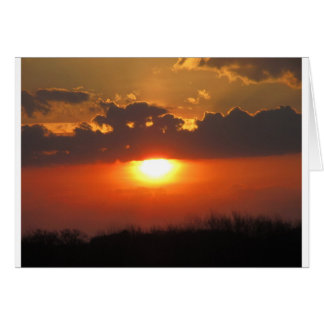 Sunset of Life