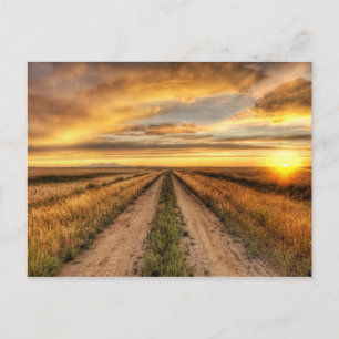 Sunset on a country road postcard