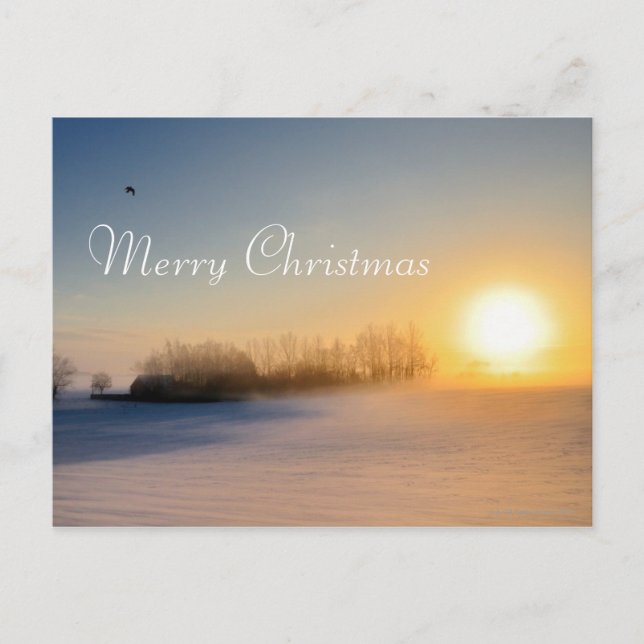 Sunset on Christmas Day in countryside Holiday Postcard (Front)