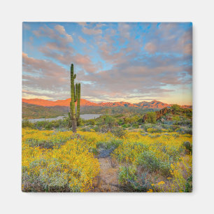 Sunset on Desert Landscape Magnet