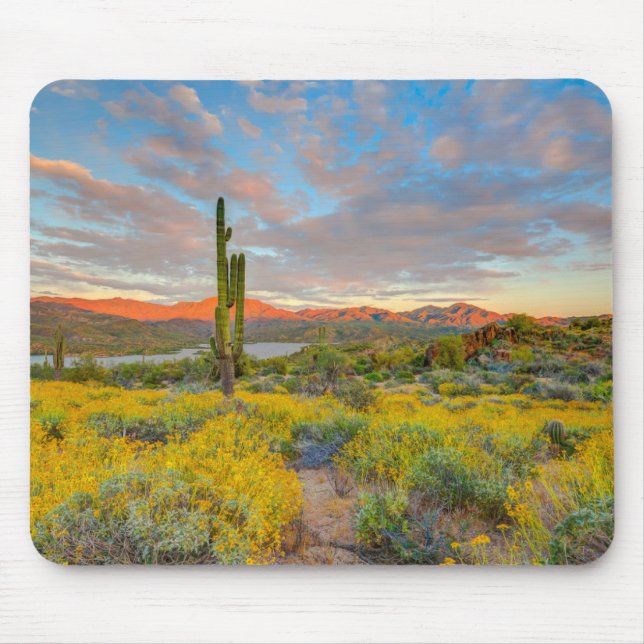 Sunset on Desert Landscape Mouse Pad (Front)