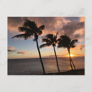 Sunset on Kauai, Hawaii Postcard