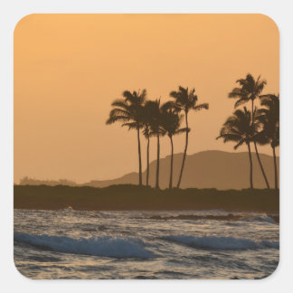 Sunset on Kauai Square Sticker