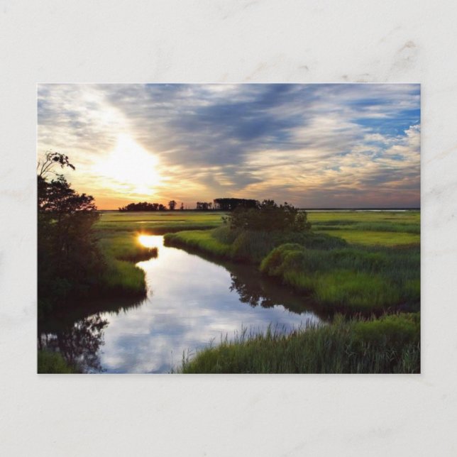 Sunset on Marsh Bombay Hook Deleware Postcard (Front)