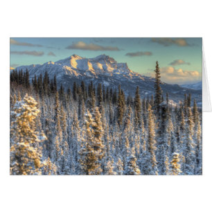Sunset on Mount Fellows