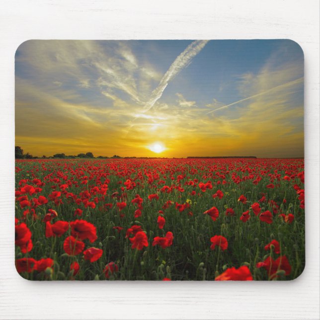 Sunset on Poppyfield - HAMbyWhiteGlove Mouse Pad (Front)