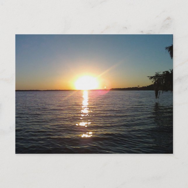 Sunset on the Bayou Postcard (Front)