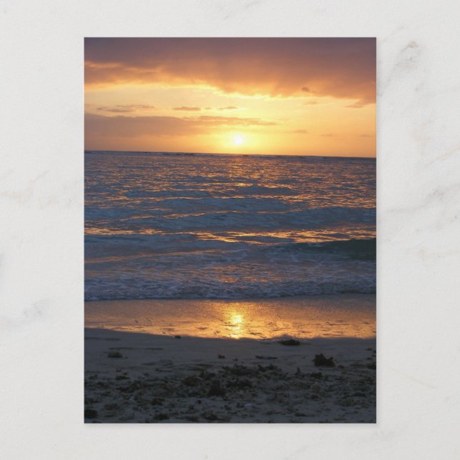 sunset on the beach postcard (Front)