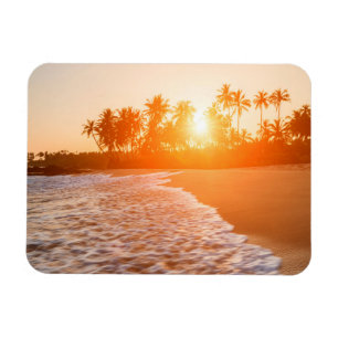 Sunset on the Beach with Coconut Palms Sri Lanka Magnet