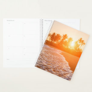 Sunset on the Beach with Coconut Palms   Sri Lanka Planner