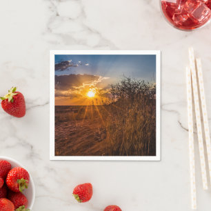 Sunset on the Kalahari desert, Namibia Napkin