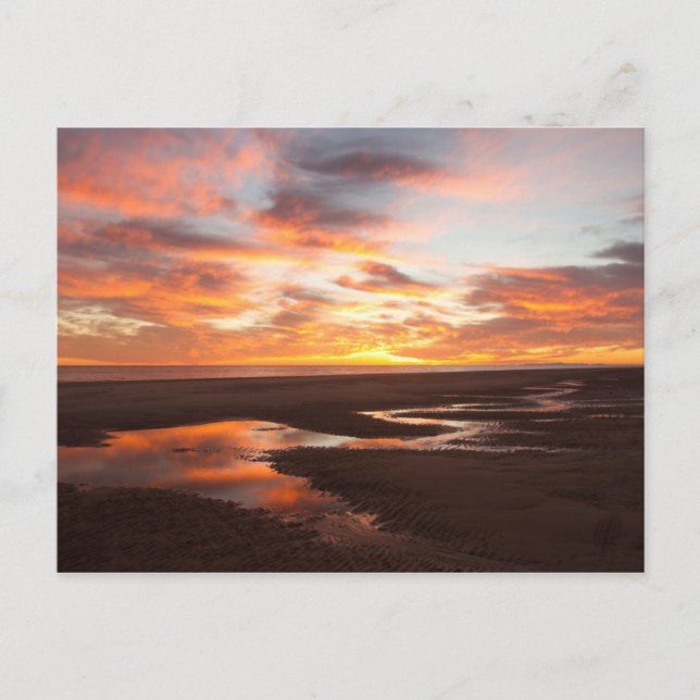 Sunset On The Sea Of Cortez Postcard (Front)