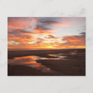 Sunset On The Sea Of Cortez Postcard