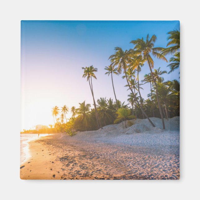 Sunset on Tropical Beach | Dominican Republic Magnet (Front)