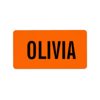 Sunset Orange Modern Name | Trendy Minimalist
