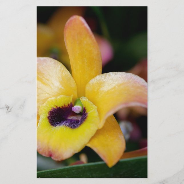 Sunset Orchid Stationery (Front)