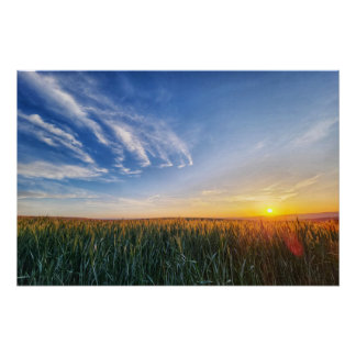 Sunset over a field poster