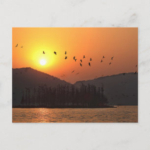 Sunset Over East Lake Photo Postcard