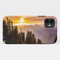 Sunset over forest