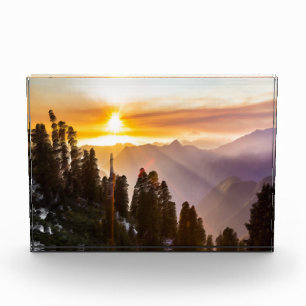 Sunset over forest photo block