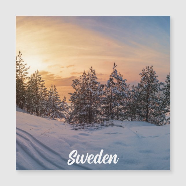 Sunset over frozen snowy forest near magnet (Front)