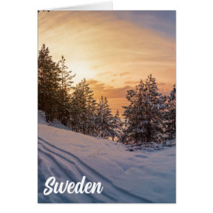Sunset over frozen snowy forest near sea