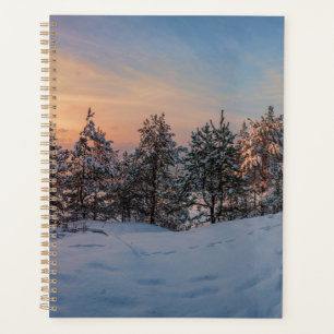Sunset over frozen snowy forest near sea planner