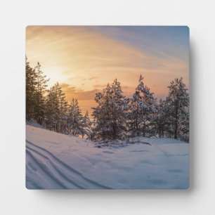 Sunset over frozen snowy forest near sea plaque