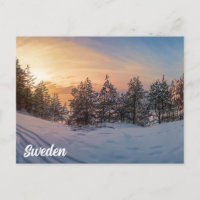 Sunset over frozen snowy forest near sea