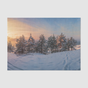 Sunset over frozen snowy forest near sea tissue paper